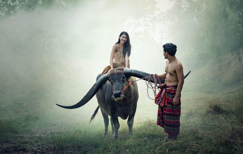 Thaifrau reitet auf einem Buffalo in Begleitung eines Thai-Mannes